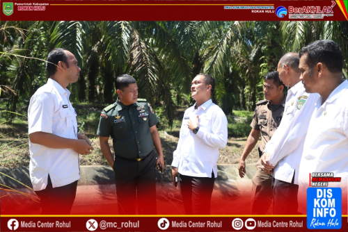 Pemkab Rohul Tinjau Pemanfaatan Air Irigasi di Kecamatan Rambah Samo