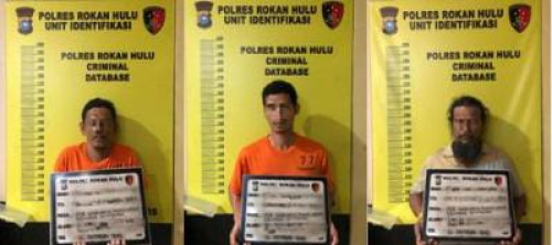 Polres Rokan Hulu Bekuk Tiga Penambang Emas Ilegal di Sungai Rokan