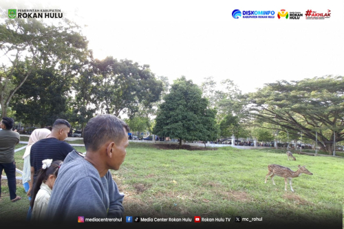Lebaran Kedua, Hutan Kota dan Taman Rusa Rohul Diserbu Warga, Jadi Magnet Wisata Baru Pro-Rakyat