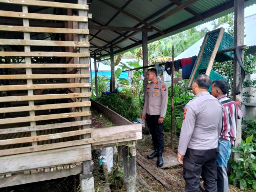 Akselerasi Ketahanan Pangan di Inhil, Polsek KSKP Tembilahan Sambangi Peternak Kambing Berikan Penyuluhan