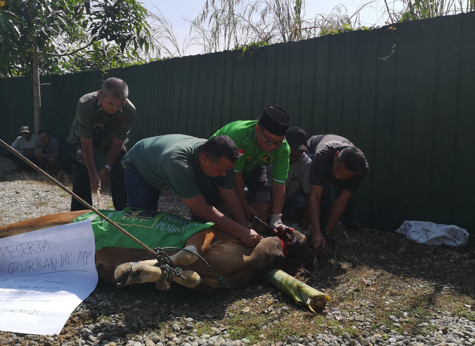 Semangat Berbagi, PPP Kampar Berqurban di Idul Adha 1445 H