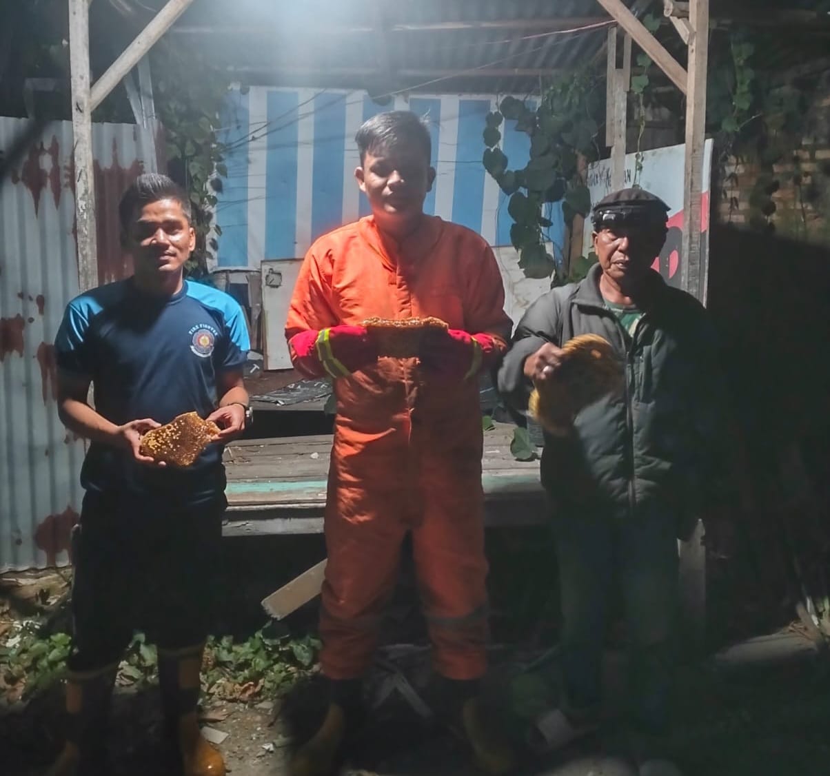 Tim Rescue Damkar dan Penyelamatan  Lakukan Penanganan Terhadap Lebah Madu