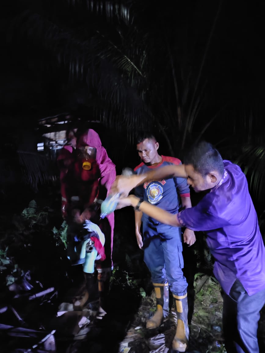 Sarang Lebah di Atas Pohon Kelapa Milik Warga, Berhasil Dievakuasi Dinas Damkar dan Penyelamatan Kampar