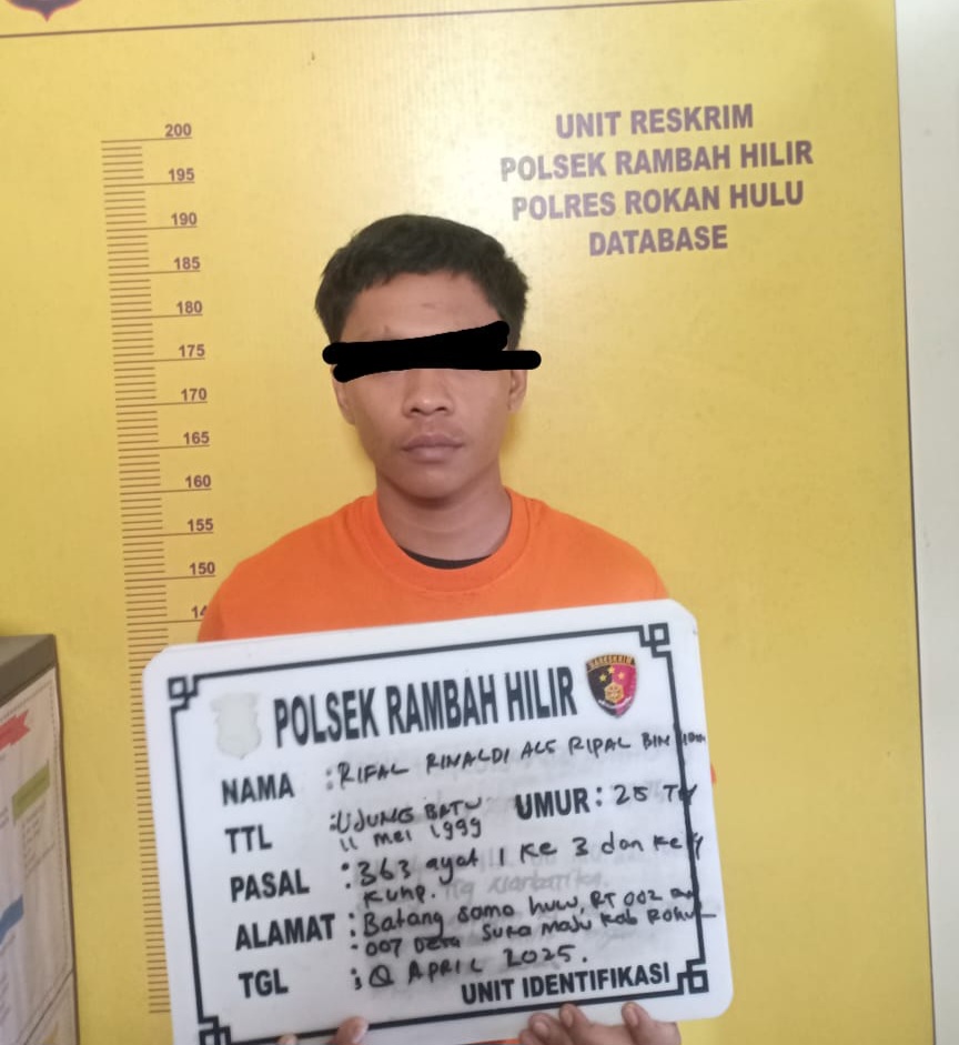 Luar Biasa ! Kurang dari 24 Jam IPDA Jones Amankan Residivis Curanmor di Rambah Hilir