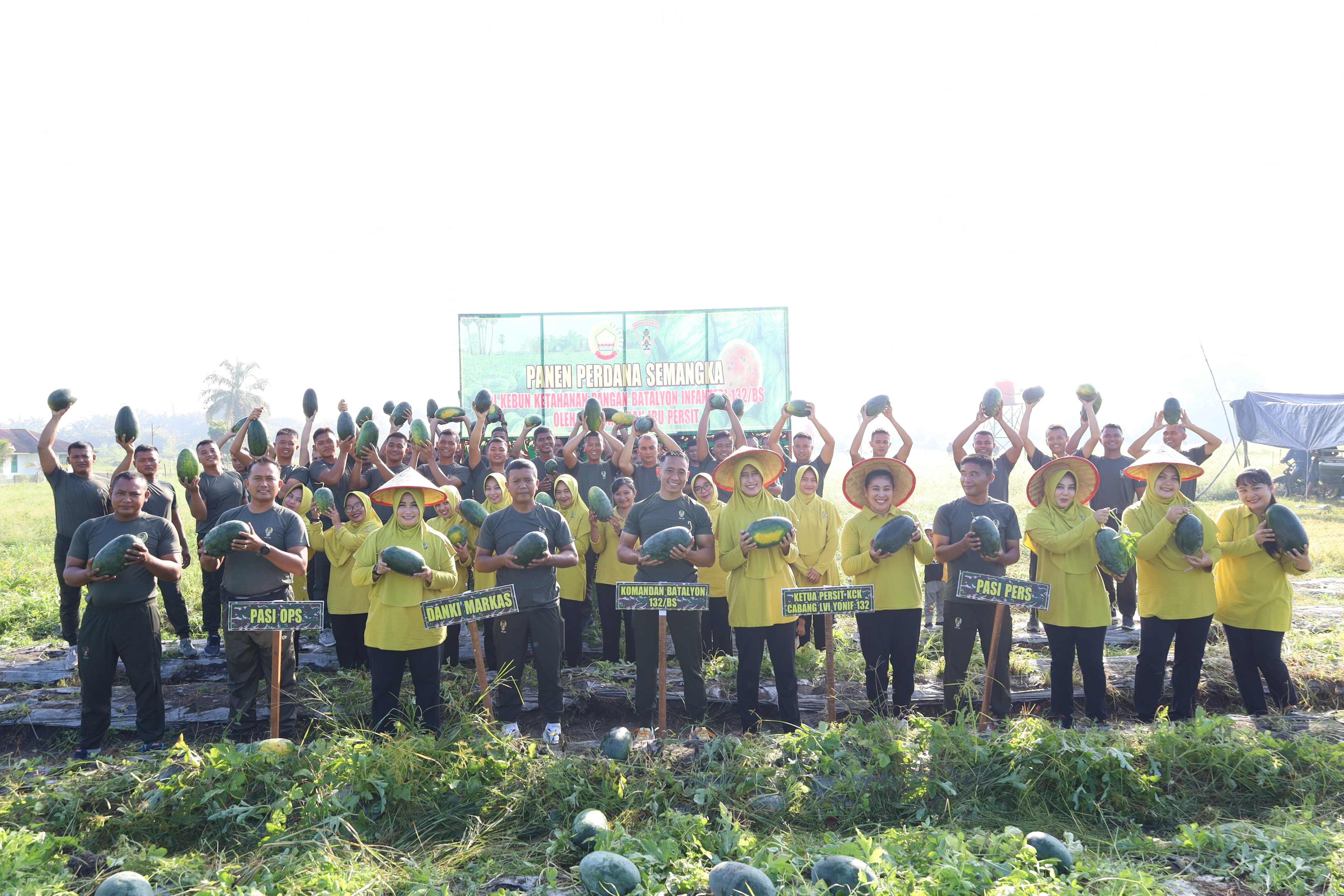 Yonif 132/Bima Sakti Panen Semangka, Buktikan Ketahanan Pangan Bukan Sekadar Slogan