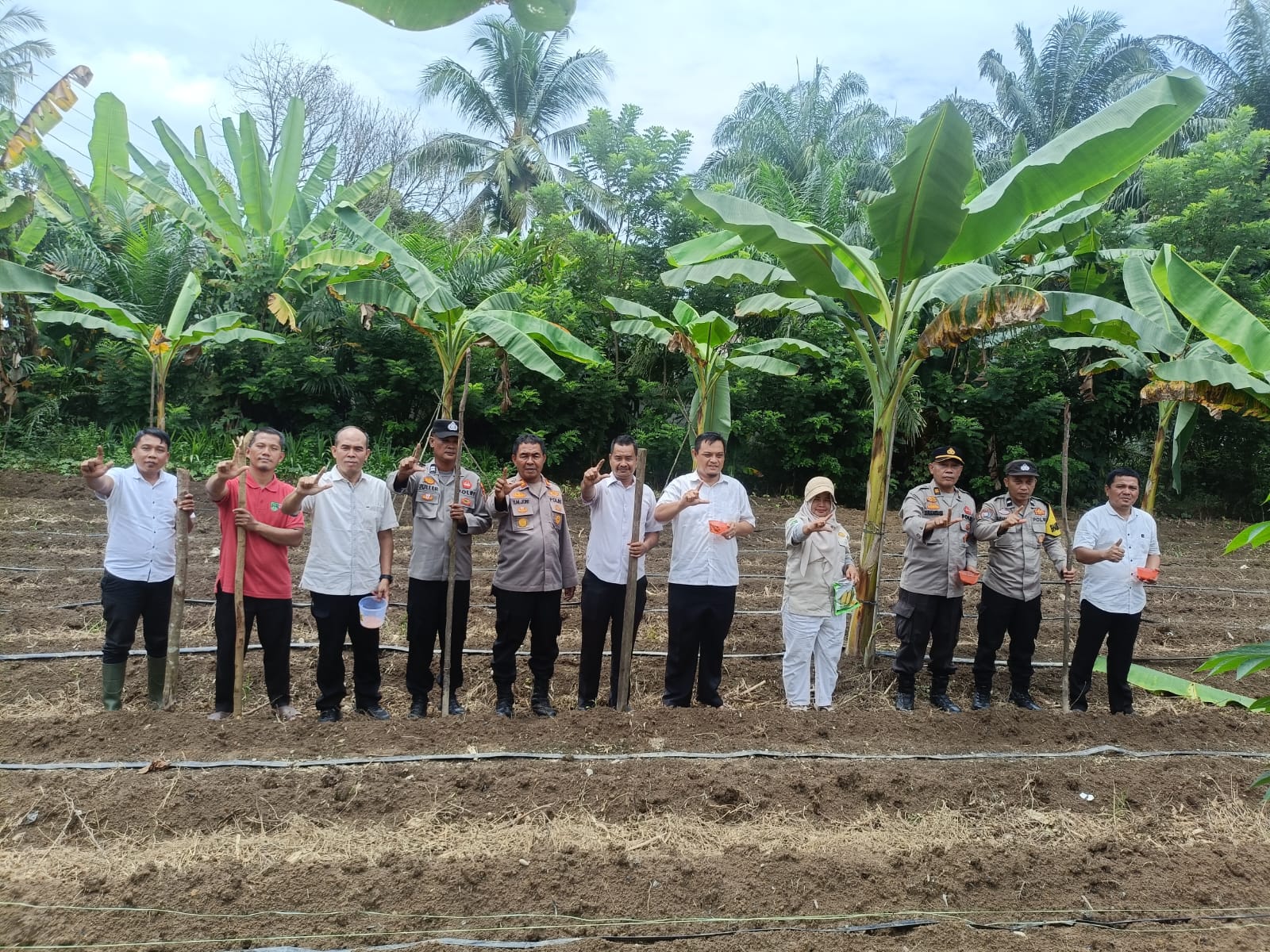 Dukung Swasembada Pangan, Polsek Rambah Optimalkan Lahan 1 Hektare