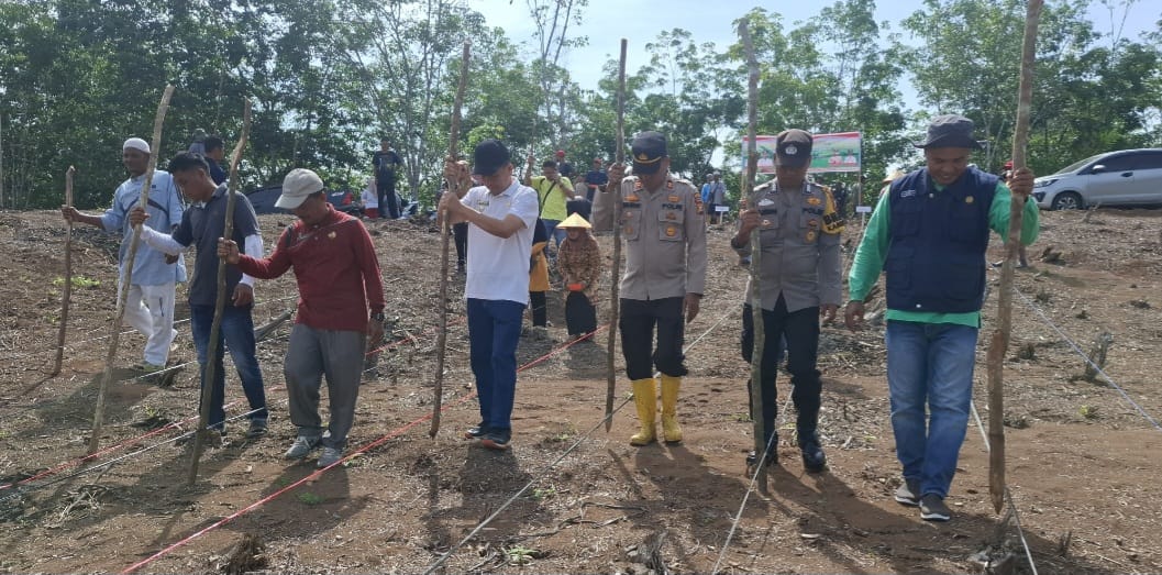 Polsek Tambusai Dukung Program Ketahanan Pangan Prabowo, Tanam Jagung di Desa Talikumain
