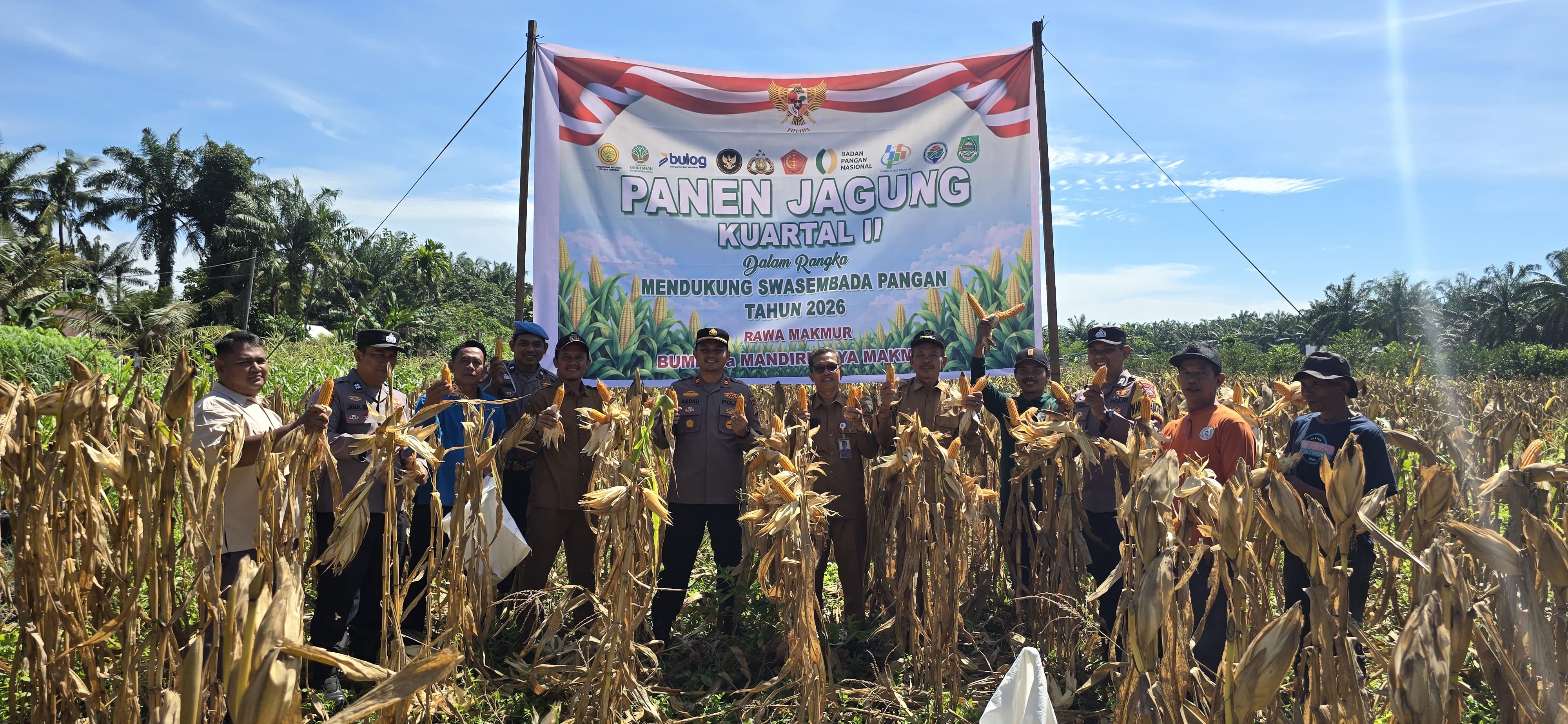 Sukses Panen 1,5 Ton Jagung, Polsek Bonai Darussalam Pertegas Komitmen Ketahanan Pangan
