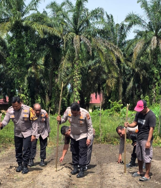 Polri Hadir di Tengah Petani, Kapolsek Ujungbatu Pimpin Penanaman Jagung